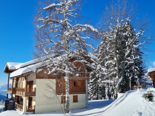  - Les Oursons - Résidence Chalet de Standing au pied des pistes 