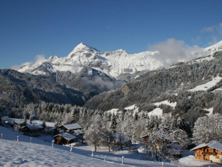 Les Bouquetins - Piscine chauffée (en été) et Piste de luge (hiver)