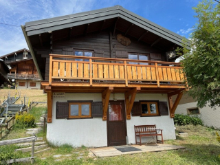 La marmotte joli chalet bois au centre station 8/9