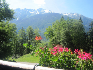  En pleine nature au pays du Mont Blanc 