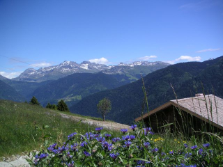 Authentique chalet d'alpage à 500m des pistes