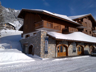 CHALET AMERIA -  LES SAISIES/BISANNE 1500