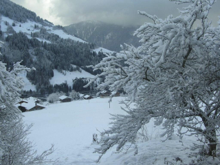 CHALET 8 PERS HAUTELUCE LES SAISIES