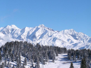 Appartement sur les pistes Outray