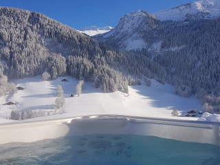 Une vraie pépite pleine d'élégance avec spa/sauna et ski à 3 kms 